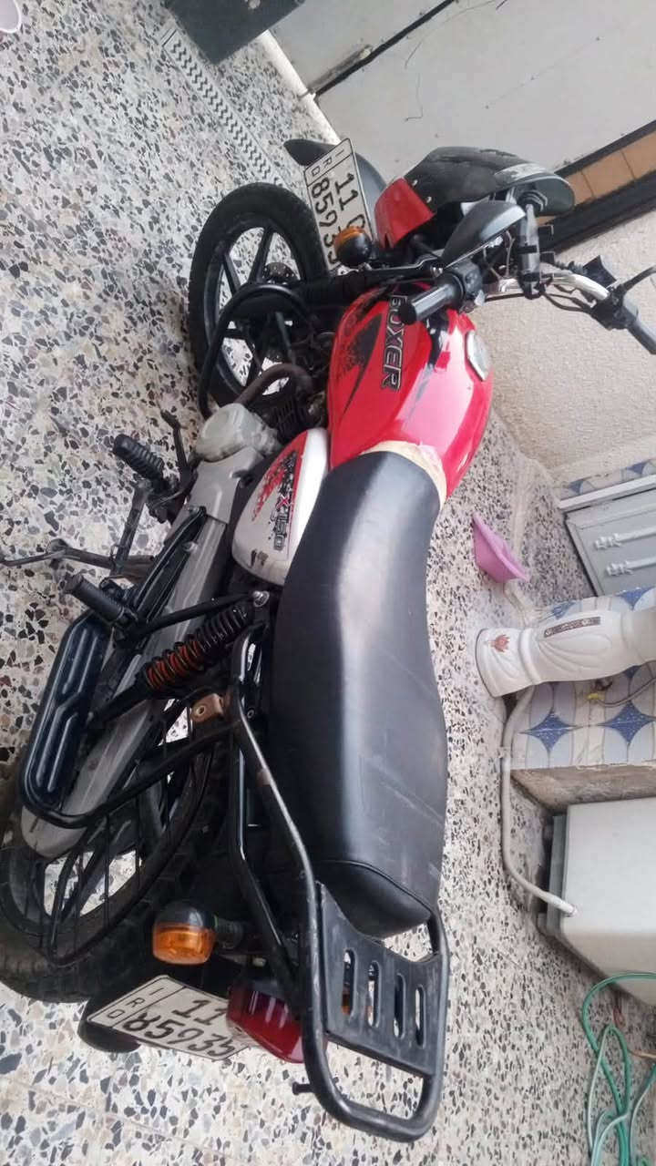 سلام عليكم دراجة بوكسر جديده موديل 22 جبلي     اتصل ع الرقم وبيك خير وتدلل ***********
