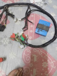 ظفيرة • عقل • بوكسر باجاج