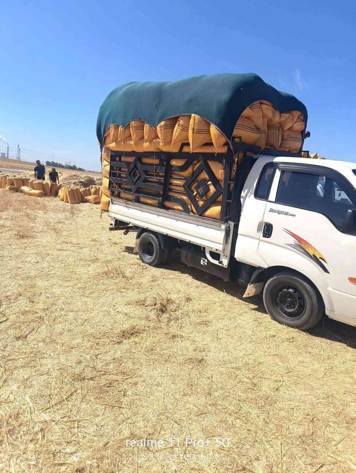 السلام عليكم ورحمه الله وبركاته
تبن للبيع شليف أبو 60 سعر الزوج مطروح بالمكان 2500 (***********)

نص مكتوب في الصور:
- السَّلَامُ عَلَيْكُمْ
- يوجد تبن للبيع - شليف ابو 60
- ترس فول - جودة عالية
- السعر بالمكان: 2,500 د.ع
- توصيل متوفر لجميع محافظات العراق
- +964 781 733 5145
- تبن شليف أبو 60 (ترس فول) السعر بالمكان: 2,500 د.ع يوجد توصيل لجميع محافظات العراق للتواصل والطلب: 5145 733 781 964+
- realme 11 Pro+ 5G