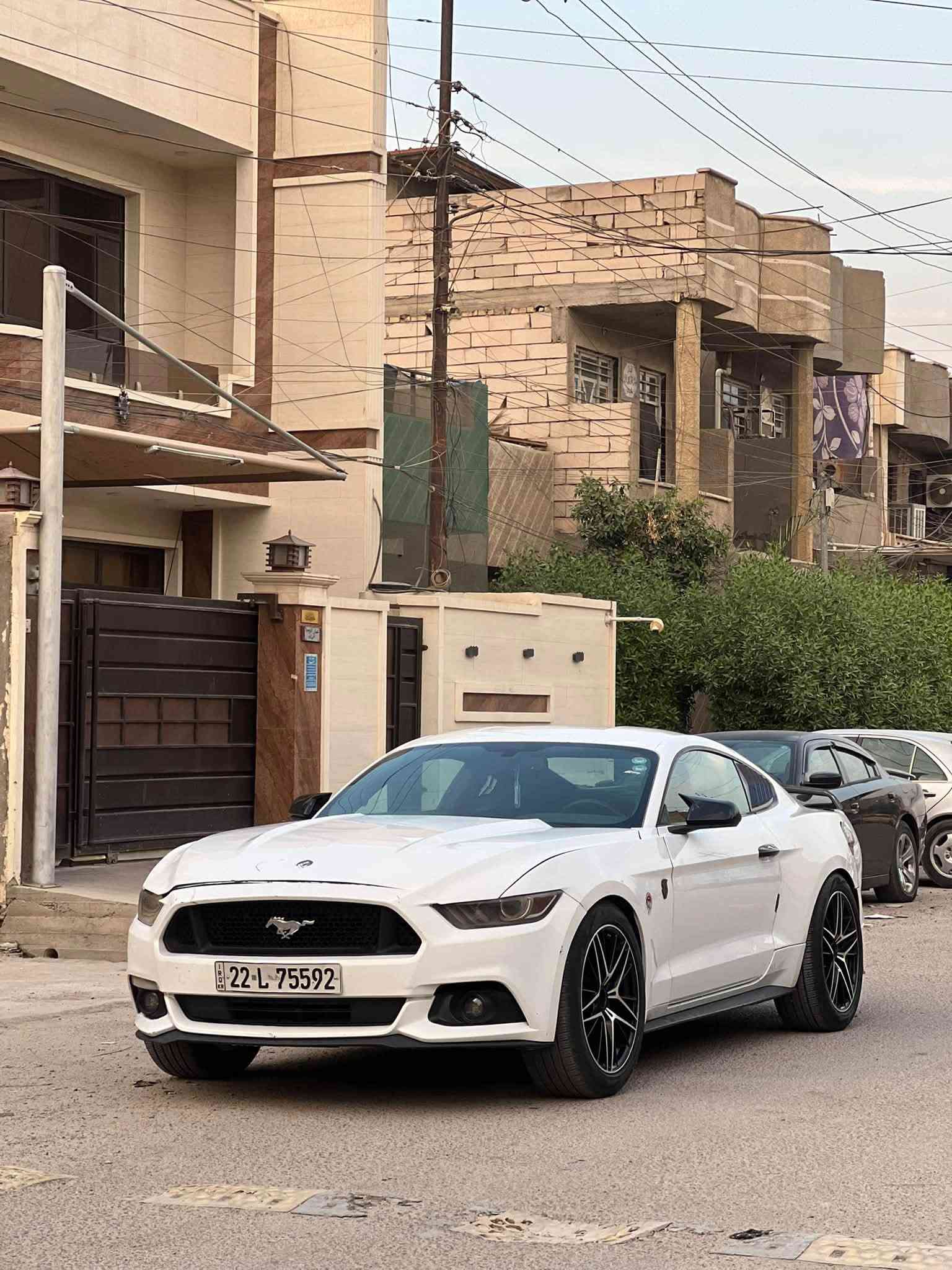 موستنك • ٢٠١٧ • ضرر