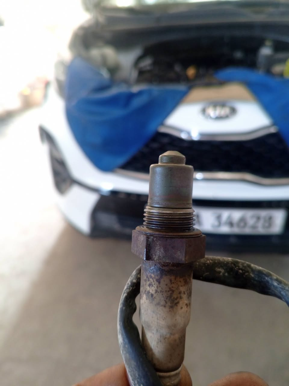 عمل ادامة سبورتج 2020
بتاريخ 2026/9/6

التمعن بالصور جيدا لفهم آلية عمل الادامة 

***********

لاطاله عمر المحرك وزيادة عزم السيارة 

🔸 تنضيف الولفات بتقنية قشور الجوز بالجهاز
🔸 تنضيف حساسات  الكام شفت 
🔸تنضيف.  حساس الاوكسجين 
🔸 تنضيف حساسات  VVT (الصمامات) 
🔸 تنضيف الجويتر مع البرمجة 
🔸 تنضيف الدكشن البارد غسل خارجي
🔸 تنضيف لولف التبخير مهم جدا 
🔸فحص البلكات خارجيا بالجهاز 
🔸 فحص المجاول خارجيا بالجهاز 
🔸فحص الفيت بم وخط الراجع بالجهاز 
🔸 تنضيف سطح المحرك بفوم مجدد 
🔸 برمجة وترسيت السيارة بعد العمل 🌹 

مركز المصطفى لإدامة السيارات كافة 

🔴🟠

اسعار الاربعة سلندر 50 الف ادامة شاملة 
اسعار الستة سلندر  65 الف ادامة شاملة 

العنوان السماوة حي الاعلام شارع السيراميك مجاور خزانات الوطنية مجاور معرض الخفاجي للانشائية
