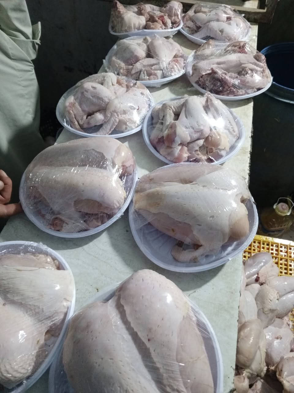 السعر... 2900 علوة دجاج ابو فاروق لبيع دجاج الحي يوجد لدينه اسعار مناسبه جوه السوك بسعر البلاشششش يوجد لدينه صدر دجاج افخاذ دجاج نظافه فول  العنوان ناحية الرشيد الخروجيه قرب المنتزه مستعدون لتجهيز كافه المناسبات والمطاعم ... ***********....  ***********
