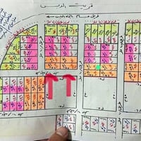 الدبس • قطعتين • ركن ٢٥٠م