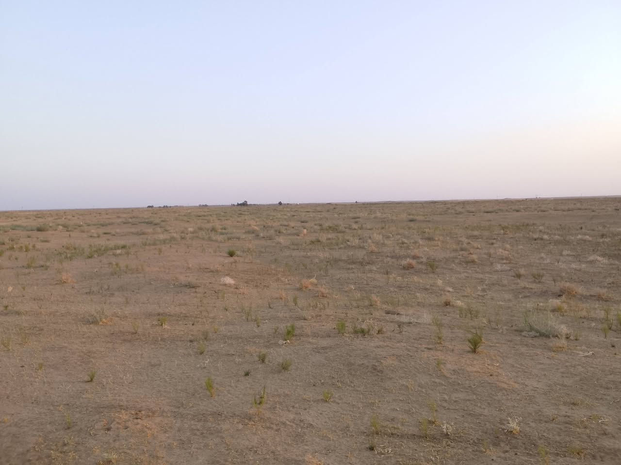 سلام عليكم اخوان كاع 250 دونم 
في العيث الزلزليه كهربا واصله بس 
يعوزه حفر جليب ونترهم عل كل شي
بس تواصل معي عل راقم وهاذي 
جدامك تكدر اشوفه ***********
