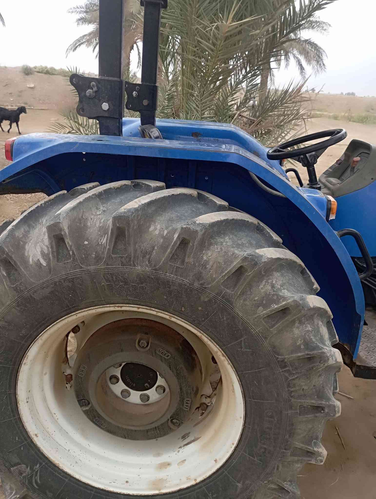 نيهولند ٨٠ • كتاب شركة • بابل