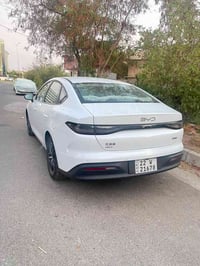 Seal 05 2025  رۆیشتن17 هەزار پاتری ٥٥  بەناوی خۆمە سبوغ و ساردە کوتی ن...