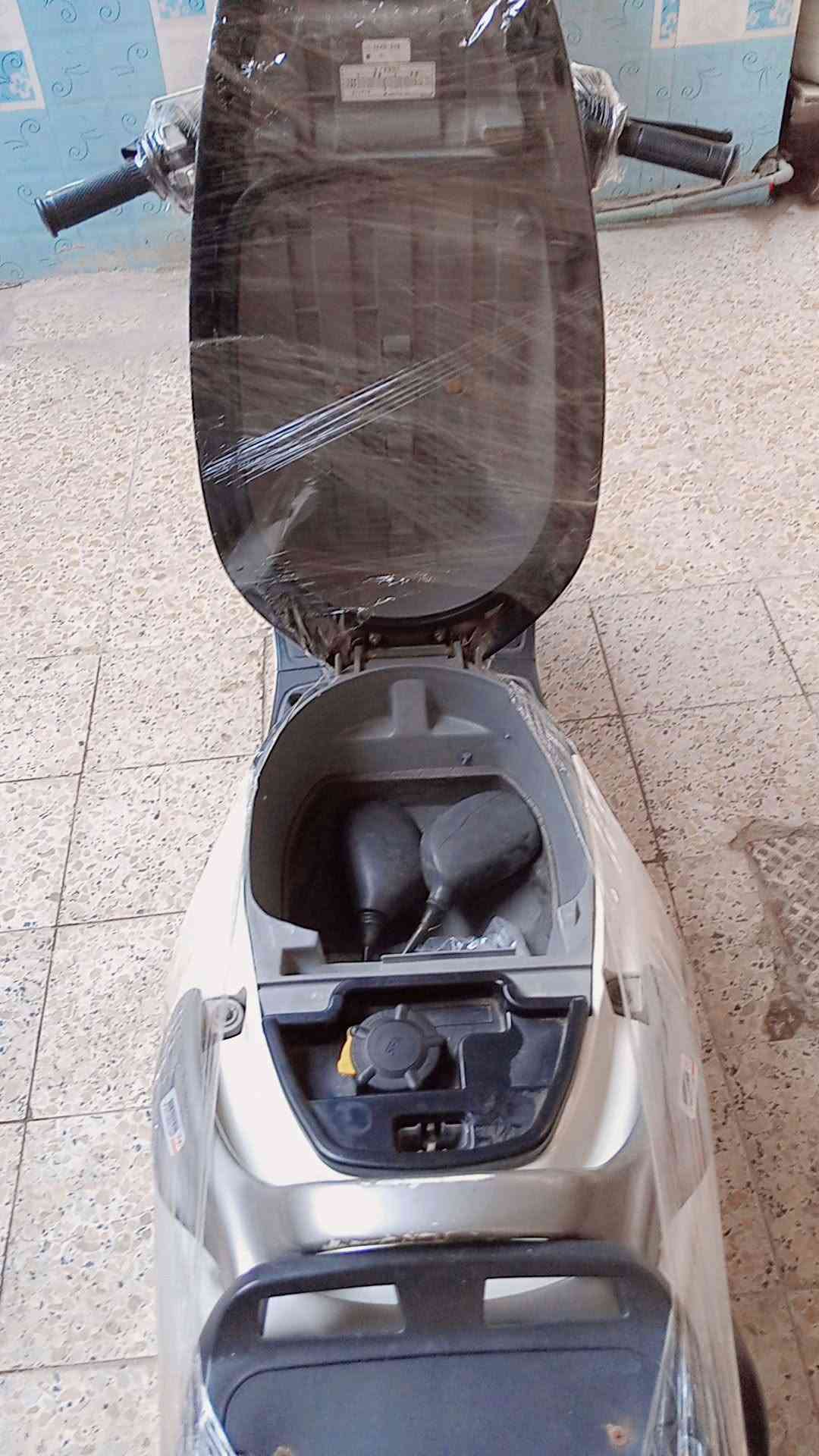 اكزز فحل • ابيض لؤلؤي • كفاله عامه