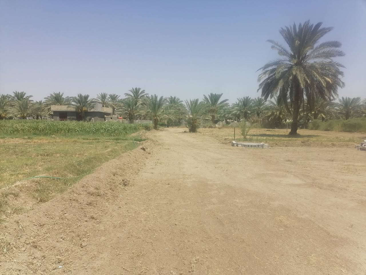 يالله سلام عليكم ورحمة الله نص دونم مساحه 1250 شكد تريد منه ينباع نزل عرض٣٠ متر ونزل ٤٠ متر شارع ٦ متر وصل ليمهم بابل جبله فرع مصلخ ثاني قطعه ٢بسوك ماء نهر كدامك تجي وشوفه رساله بيه مولد حي كهربا ء كافات خدمات تجي وتشوفه ستفسار *********** و*********** سعر28 وبيه مجال لطيبين ما يعجبك منشور عبره كنك ماشفته
