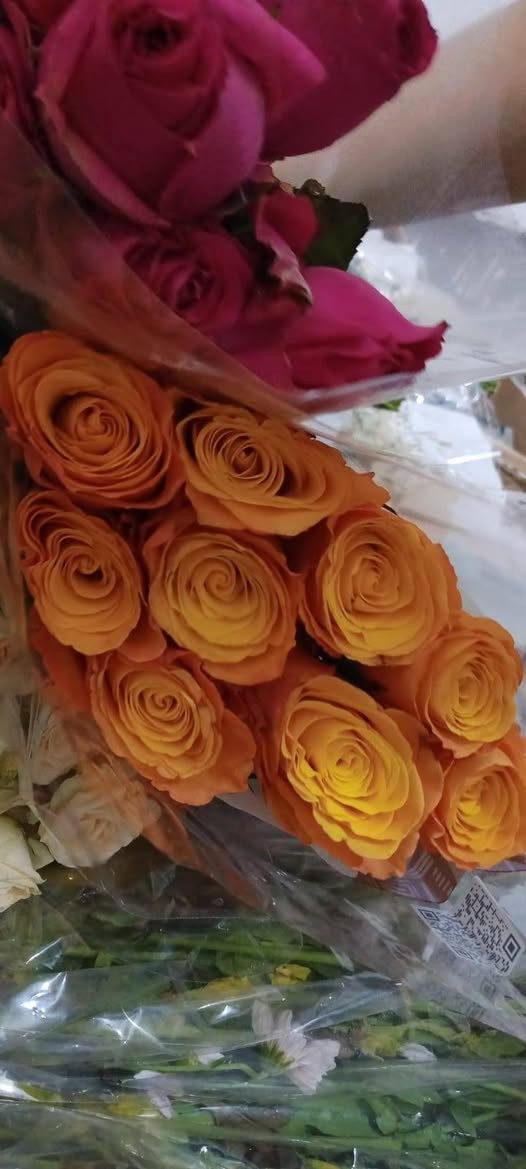 سلام عليكم ورد طبيعي الوحده ب 1000  اكو توصيل ‏‪***********‬‏
