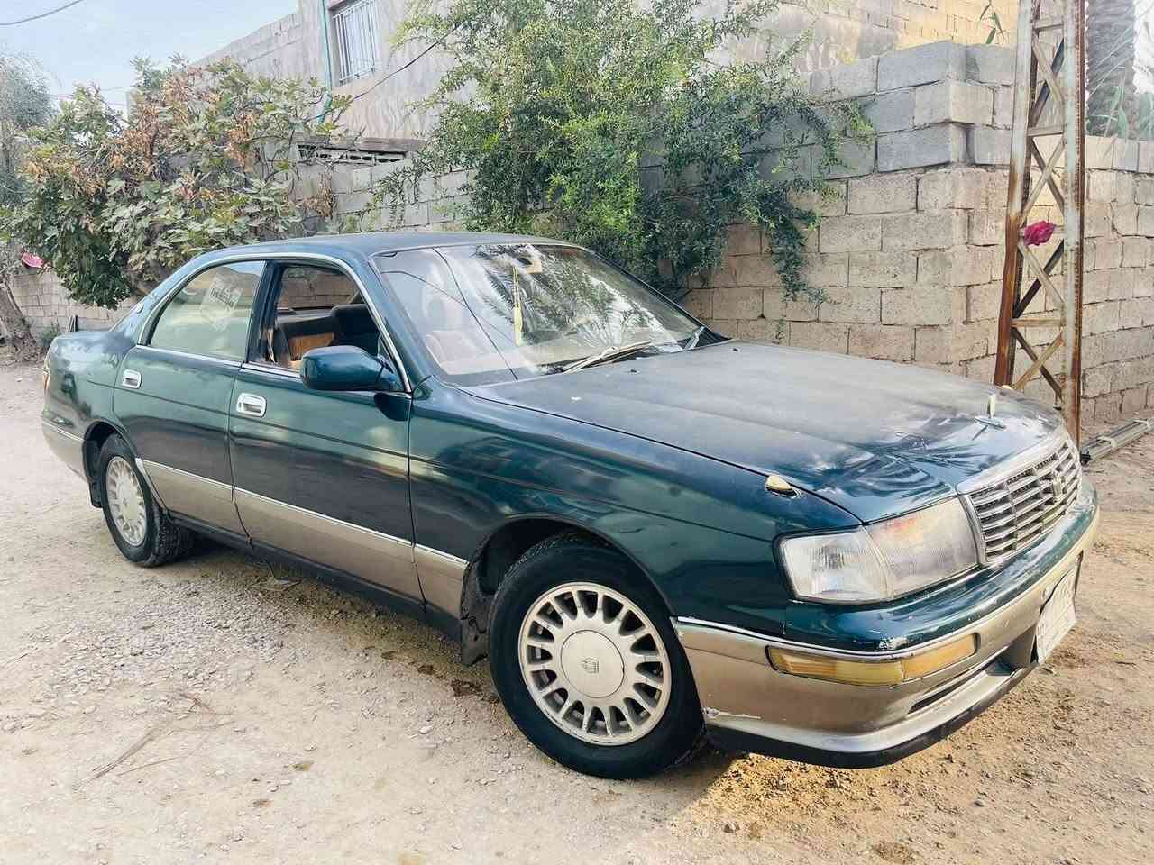 بطة • الأسود مراوس • حديثة