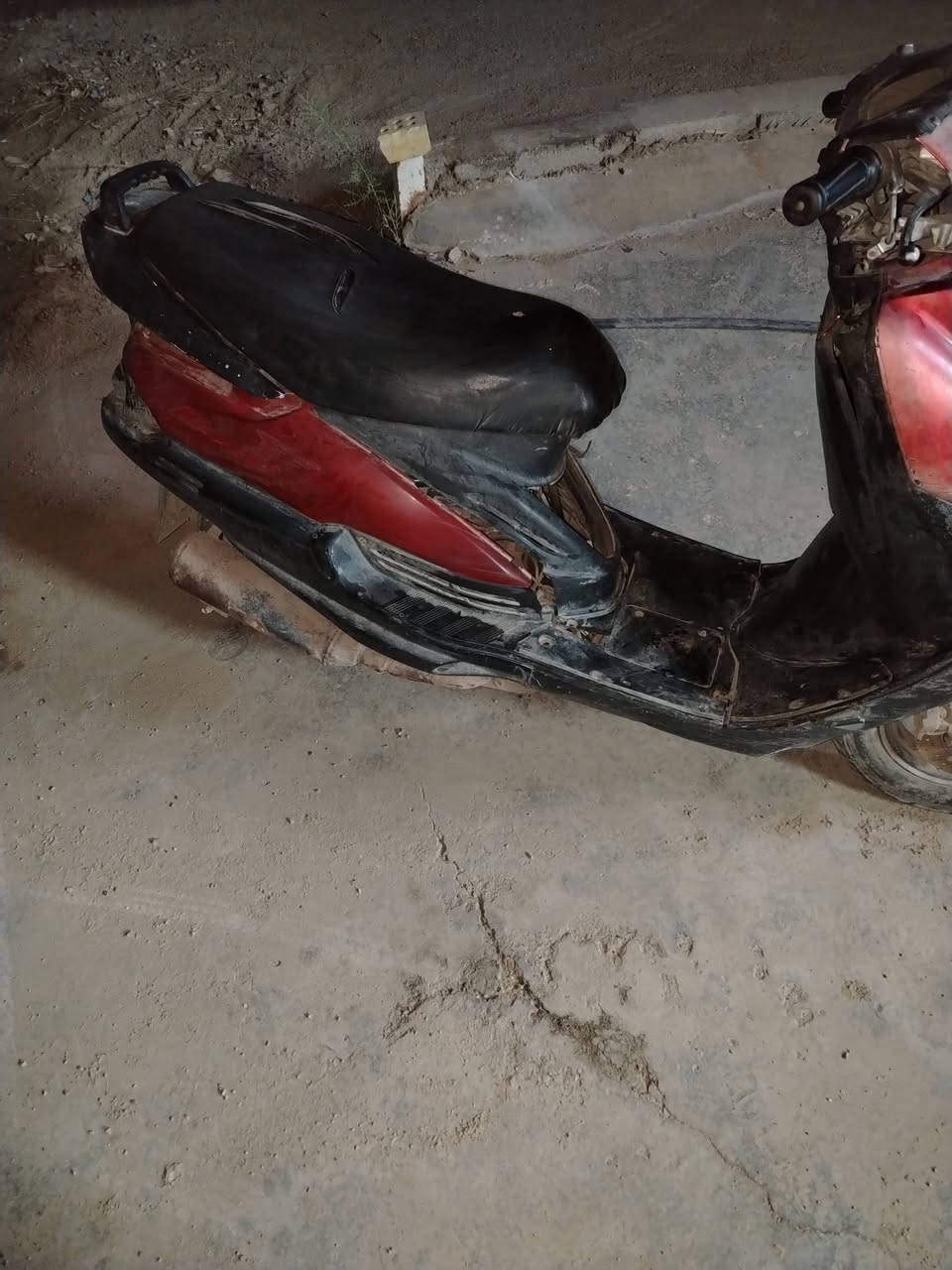 فراشة • جاهزة • بعقوبة