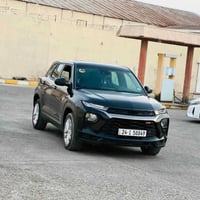 ترابلايزر • ٢٠٢٣ • بدون صبغ