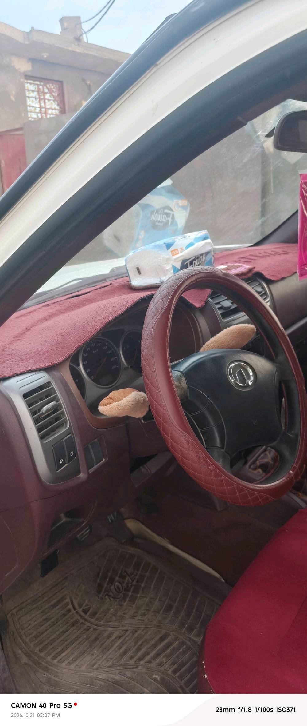 ساره جريت ويل • ٢٠١٥ • كفاله عامه
