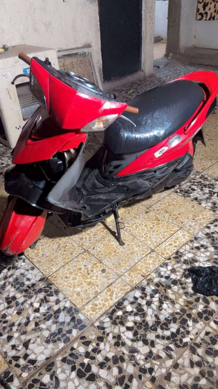 سكنس فحل • ياباني • كفر امامي نكسر