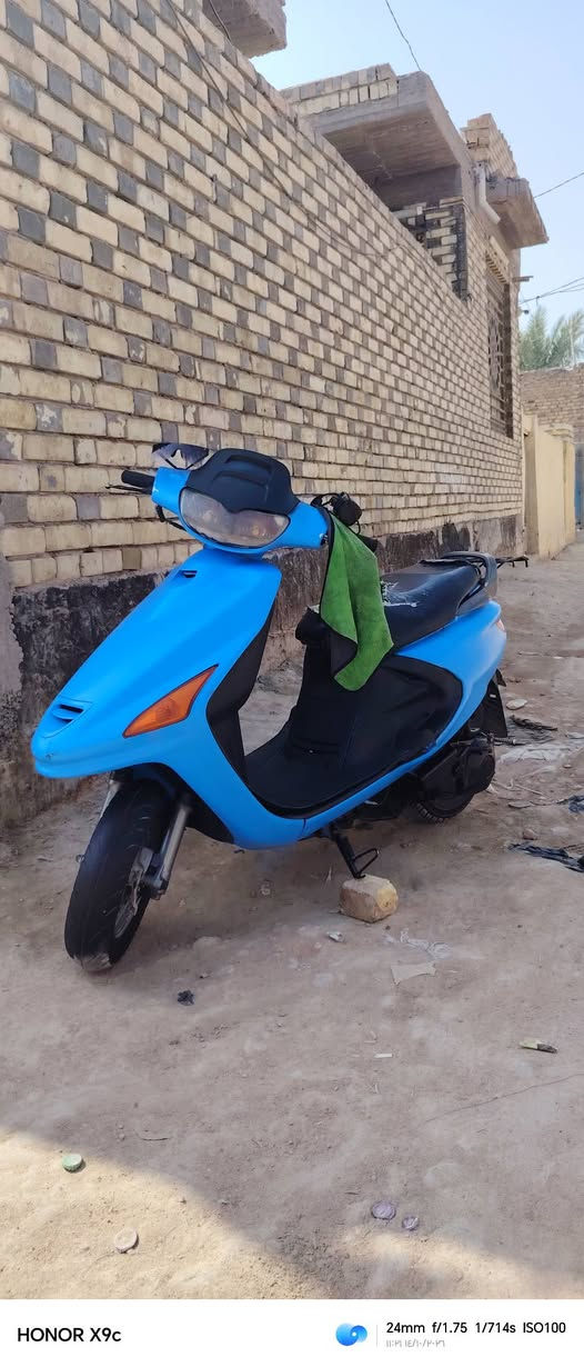 فراشة • كهربيات • نضيفه