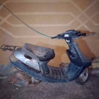 بطه • شاصي طاگ • شغالة