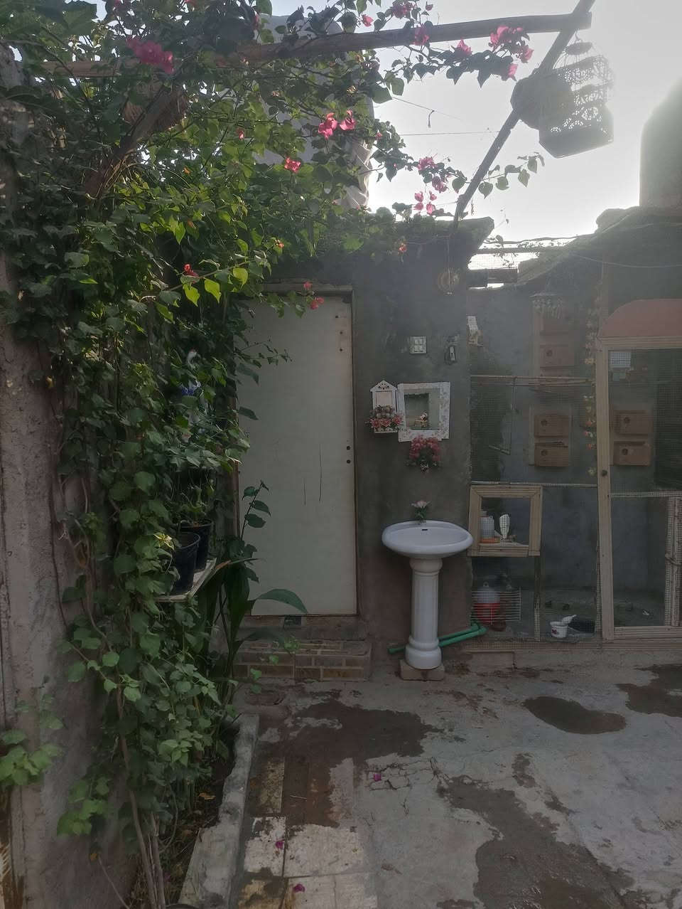 بيت للبيع • ١٠٠م • خلف جامعة كربلاء