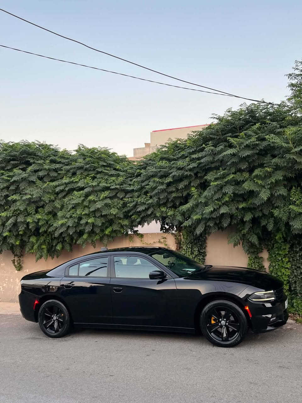 Dodge charger 2017  SXT
دوج چارجر ٢٠١٧ کلین تایتل
مواسەفات sxt
شاشەگەورە
بەصمە
شەخال
دەرگا بەصمە
کوشن کارەبا
حاسە
کامیرا
گێڕو مە کینەی بەشەرت نەکراوەتەوە
بێ بۆیاخو بێ ساردو بێ پارچە گۆڕانە تەنانەت دەعمیەکانیشی بە شەرت بۆیاخی نیە
هەموو گیانی بە شەرت
لە سەر دەقی شەریکە ماوە
دەعمی بۆ دەعمی بە شەرت
شوین سلیمانی 
***********
