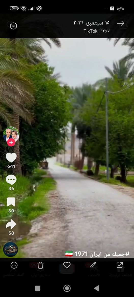 طابو • نجف • ١١دونم