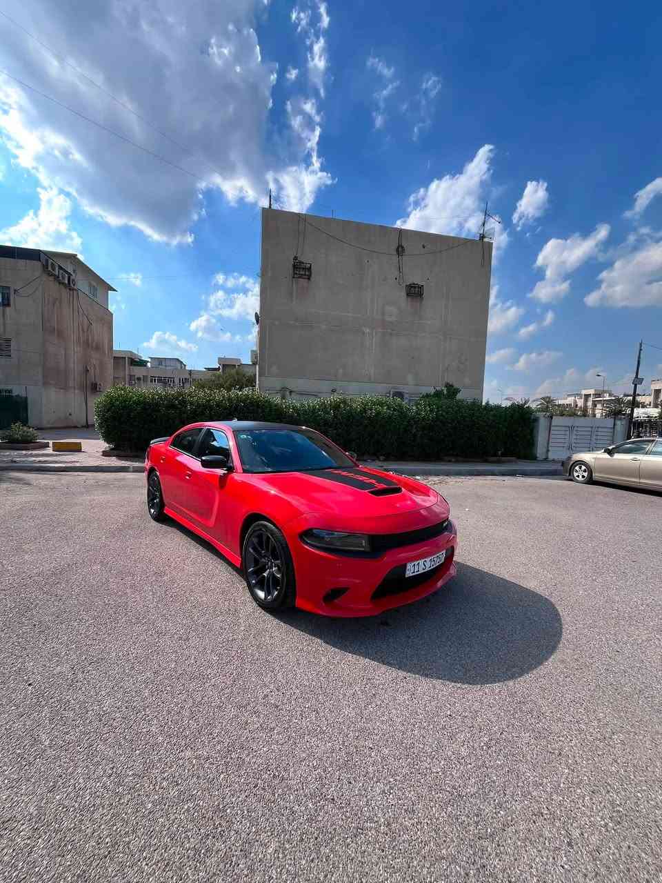 اللهم اجعل لشاريها الخير ولرائيها البركة ومن لايقدر على شرائها رزق ليشتر افضل منها ❤️

جارجر موديل 2023 لاست  DAYTONA  لون برتقالي بدون ايرباك

رقم بغداد شبه مميز باسمي هزة جديدة وسنوية جديدة

المواصفات فول ما عده فتحه . 5700
 

رادار خلفي 

رادار جانبي نقطة عمياء 

ستيرن كهرباء

خزن ميموري للمقعد 

كشنات مختمة دايتونا 

تدفئة تبريد كشنات امامية 

تدفئة كشنات خلفية 

تدفئة استيرن 

مقاعد كهربائية 

مري قلاب عند الرجوع  

شوتة رياضية 

واضافات لحية srt 
 

السيارة حادثها كدامكم بالصور فقط دعاميات 
بيها فقط بل تكمه رش ع كد أربع اصابع محدد في الصور 
بارد بل جاملخ الخلفي محدد في الصوره 

وبعد باقي التفاصيل معروفة مال دايتونا الفول 

ماشية 38 الف حقيقي 

اللي تخدمة السيارة ينورني للبيت يشوف ويقتنع ومااقصر ويا واللي متخدمة يذكرني بكلمة طيبة مثل وجها والحلال جوة مداس اصغر واحد بيكم

مكاني بغداد زيونه 

هـ ***********
