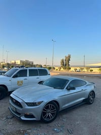 موستنك • ٢٠١٦ • رقم اربيل