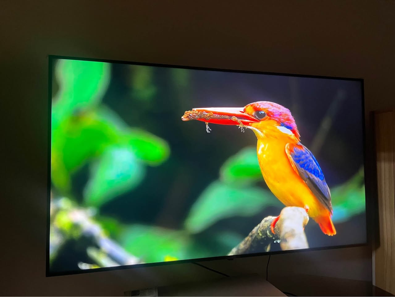 إل جي وكالة • 4K UHD • ٦٥ بوصة