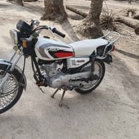 تايگر • ٢٠٢٠ • اوراق اسكنر