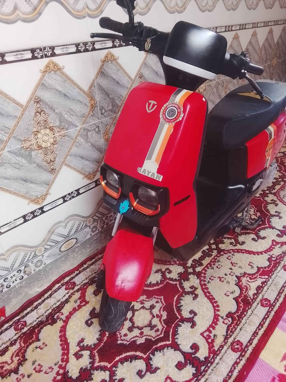 دراجة شحن • ريان ام عيون • ٦ بطاريات