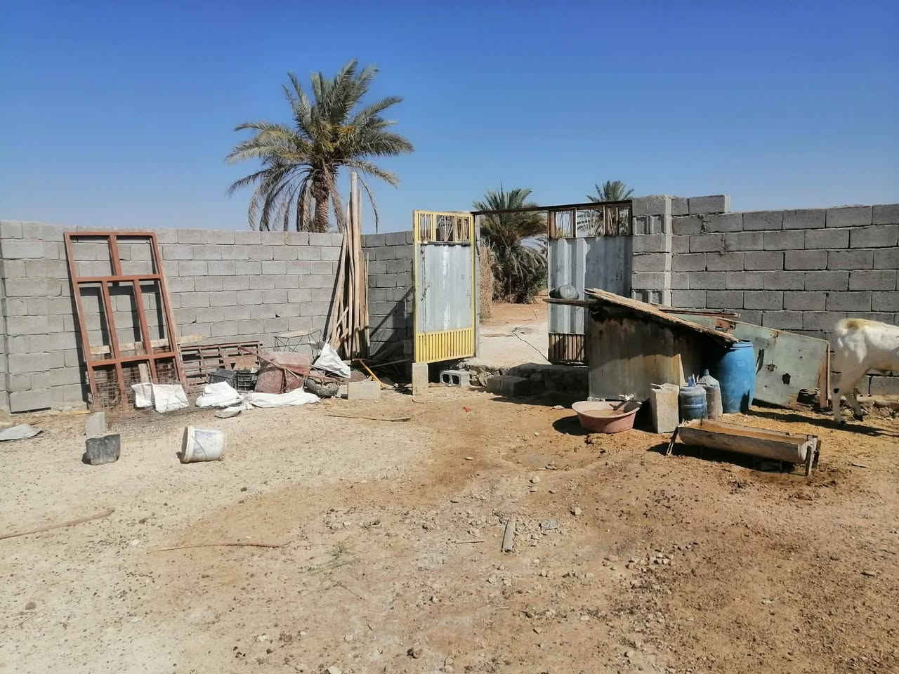 للبيع قطعة أرض في المعموره نهاية شارع المولد مساحه تقريبا ٧٤٠ ركن على ٣ شوارع مسيجه سياج كامل وباب
سعر اتصال على رقم ***********
