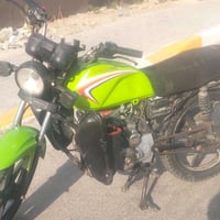 شاينك • ٢٠٢٣ • سلف هندر