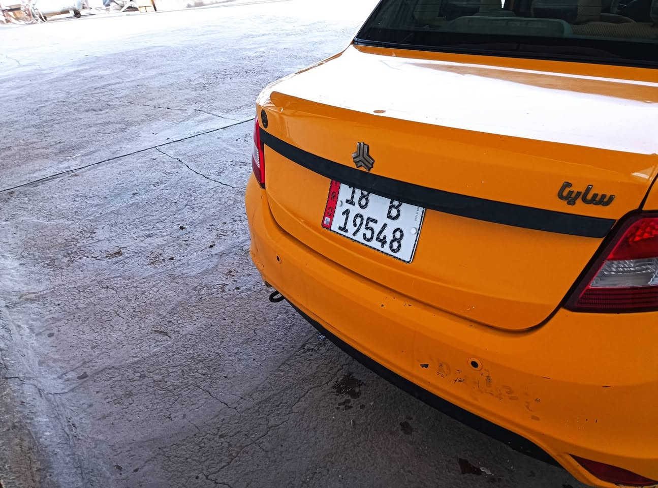 سايينا • ٢٠١٨ • رقم بابل