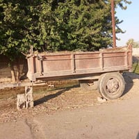موتور ٨٠ • كهربيات • قضاء جلولاء