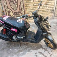 جبلي • مرتبة • شبابي