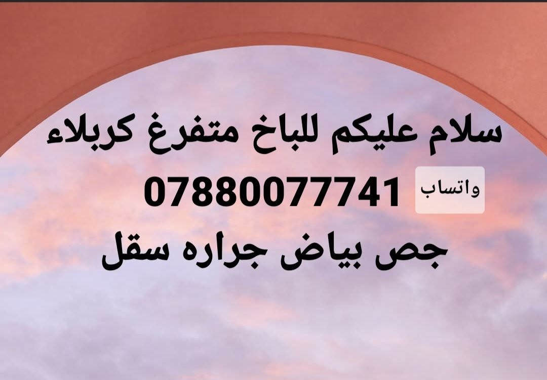 جص وبياض • متفرغ • كربلاء