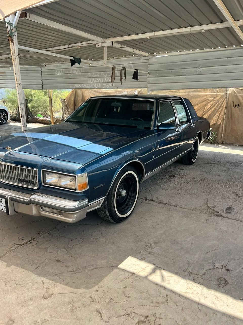 كابرس للبيع 90$ وبيهة مجال
كابرس للبيع
88
***********
