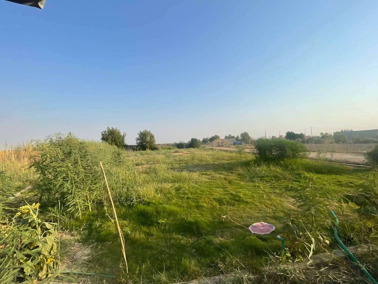 🏡 للبيع بيت سكني 

يتميز بجودة البناء والتشطيبات، ويضم:
✨ مساحة بناء 320 م²
✨ بناء درجة أولى
✨ مطبخ مجهز بالكامل
✨ استقبال مجهز بالقنف
✨ مساحة أمامية واسعة أمام البيت، معزولة عن الارض
✨ مساحة الحديقة والأرض الأمامية تقارب 1000 م²
📍 موقع مناسب للسكن، ومساحة واسعة تمنح البيت خصوصية وإمكانية استغلال الحديقة للزراعة والجلسات العائلية.
📍 الموقع: قرب سعيدان – صوب بني ركاب
🔹 الأرض قريبة من مناطق سكن حديث
🔹 تتوفر الخدمات:
✔ كهرباء
✔ ماء
✔ شارع تبليط  

📞 للاستفسار  يرجى الاتصال او المراسلة ع الرقم ***********
