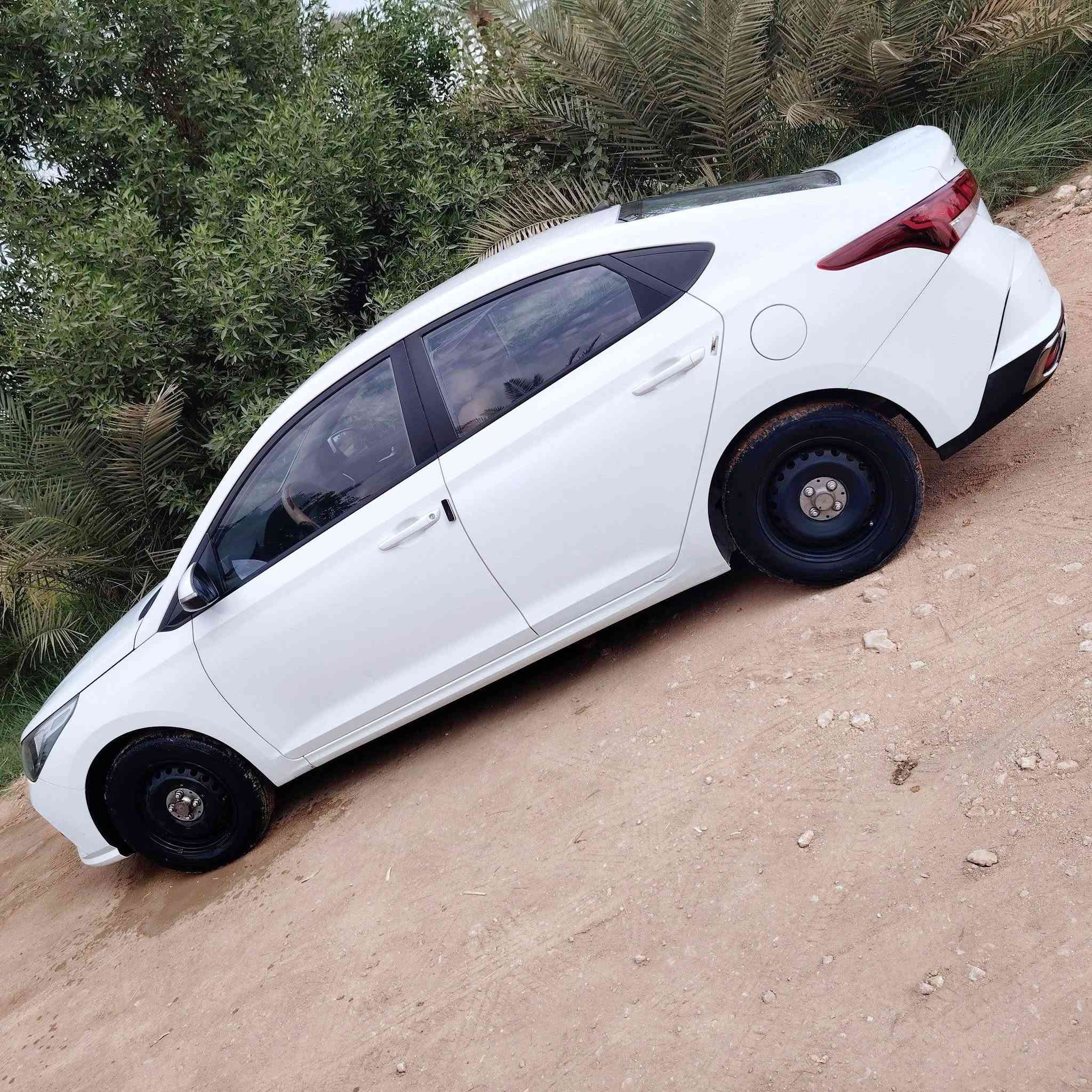 اكسنت • ٢٠٢٢ • طخه بالجنطه