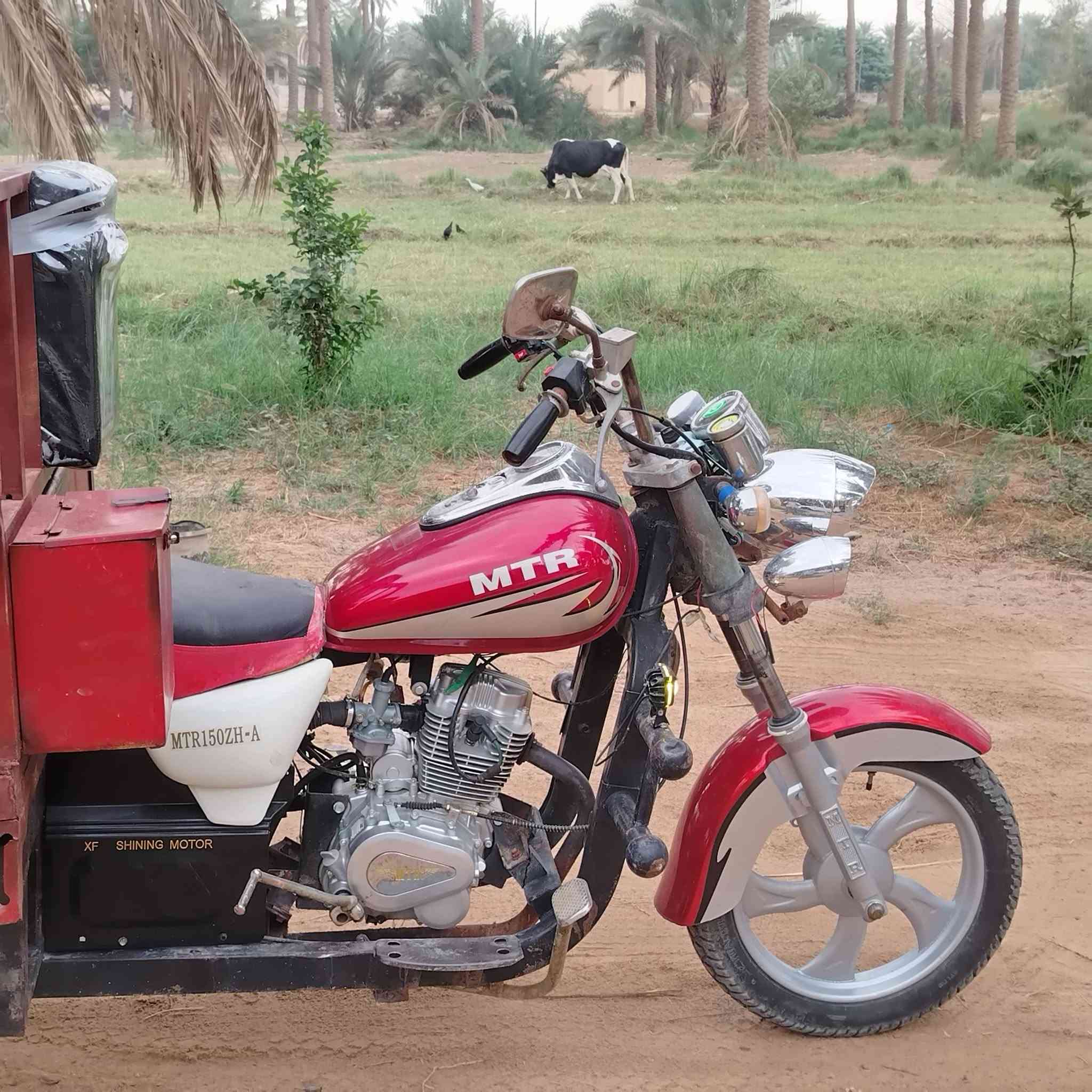 ستوته • MTR • تعمير ٢٠٢٦