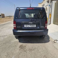 ٢٠٠٨ • خليجي • صبغ