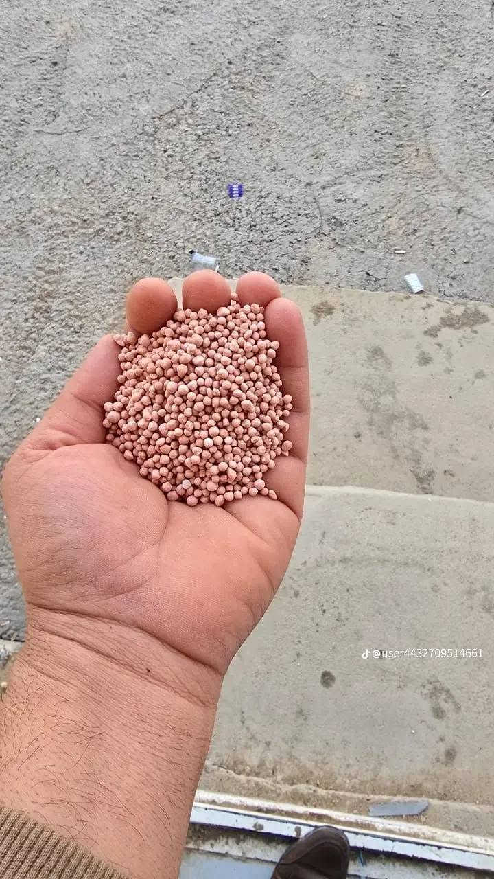 سلام عليكم ورحمة الله وبركاته يوجد لدينا داب بنواعه ***********

نص مكتوب في الصور:
- @user4432709514661