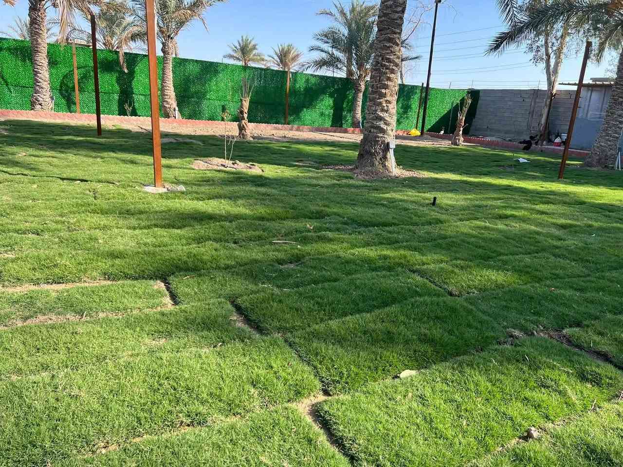 كادر متخصص • زراعة حدائق منزلية • فسائل