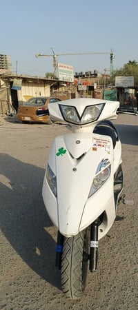 ثعلب نوزل • نظيفه • معدل
