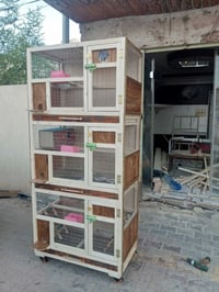 اقفاص • خانات • بابل
