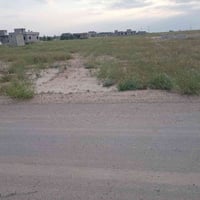 دونم زراعي • شارع الزيتون • مخدوم
