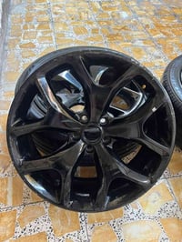 تخم ويل حجم 20 نضيف للبيع ب 400 مكاني بغداد الشعب 07719738891