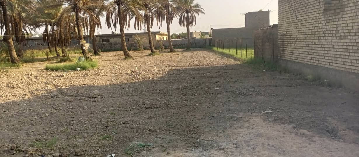 السلام عليكم 
دونم للبيع طابو زراعي ينباع نصف أو كامل 
يحتوي على حمضيات مع نخيل حمال 

لتواصل ***********
