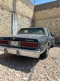 كابرس • موديل 90 • بدون صبغ