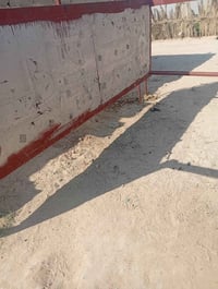 محجر كيه نثيه • جديد