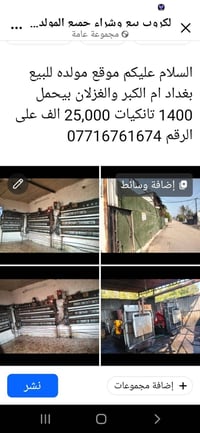 مولده • ١٤٠٠ • ام الكبر والغزلان