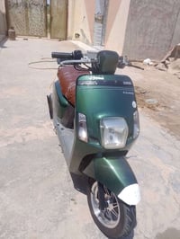 بوليس نوزل • نضية • بابل